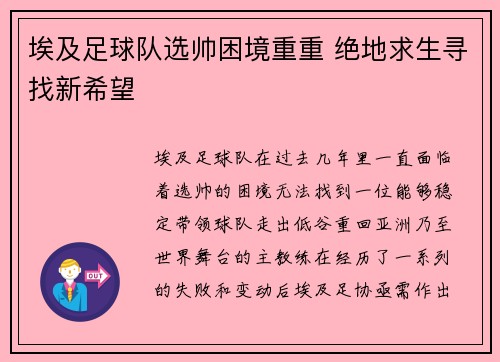 埃及足球队选帅困境重重 绝地求生寻找新希望