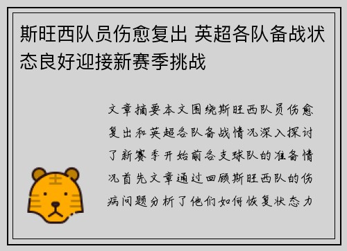斯旺西队员伤愈复出 英超各队备战状态良好迎接新赛季挑战