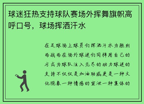 球迷狂热支持球队赛场外挥舞旗帜高呼口号，球场挥洒汗水